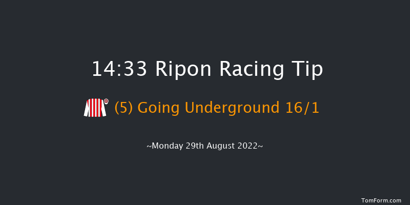 Ripon 14:33 Handicap (Class 6) 10f Sat 13th Aug 2022