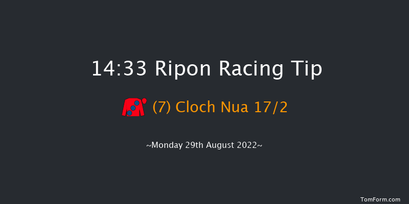 Ripon 14:33 Handicap (Class 6) 10f Sat 13th Aug 2022