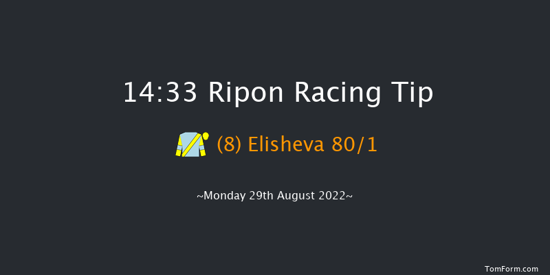 Ripon 14:33 Handicap (Class 6) 10f Sat 13th Aug 2022