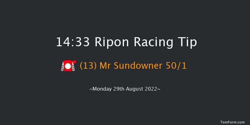 Ripon 14:33 Handicap (Class 6) 10f Sat 13th Aug 2022