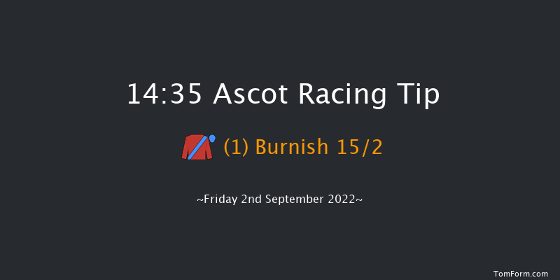 Ascot 14:35 Maiden (Class 3) 7f Sat 6th Aug 2022