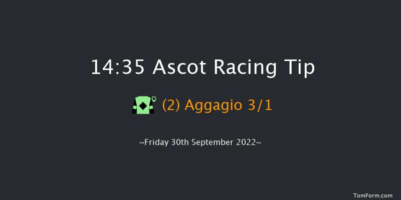 Ascot 14:35 Handicap (Class 3) 16f Sat 3rd Sep 2022