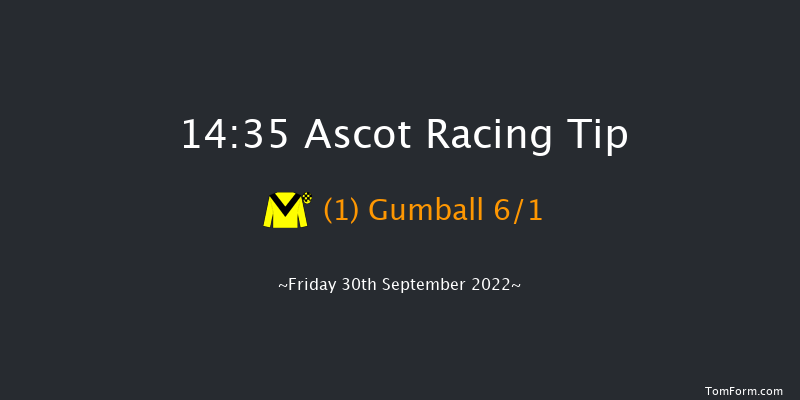 Ascot 14:35 Handicap (Class 3) 16f Sat 3rd Sep 2022