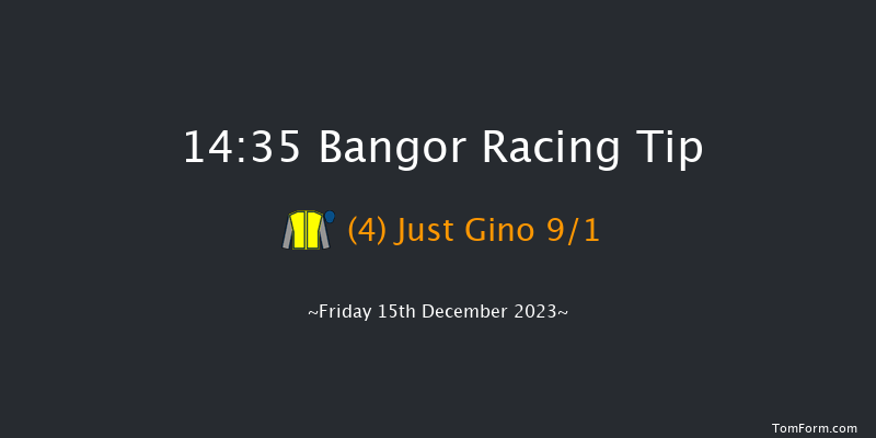 Bangor 14:35 Novices Hurdle (Class 4) 17f Sat 2nd Dec 2023