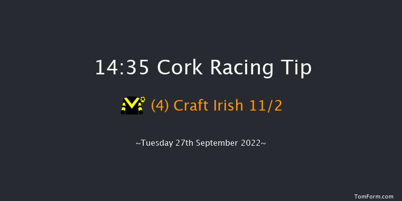 Cork 14:35 Handicap 6f Wed 7th Sep 2022