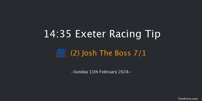 Exeter  14:35 Novices Hurdle (Class 2) 18f Wed 31st Jan 2024