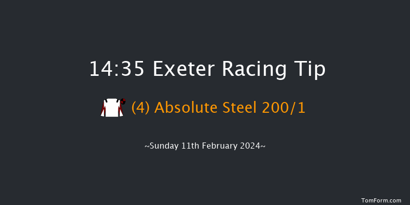 Exeter  14:35 Novices Hurdle (Class 2) 18f Wed 31st Jan 2024