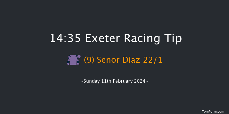 Exeter  14:35 Novices Hurdle (Class 2) 18f Wed 31st Jan 2024