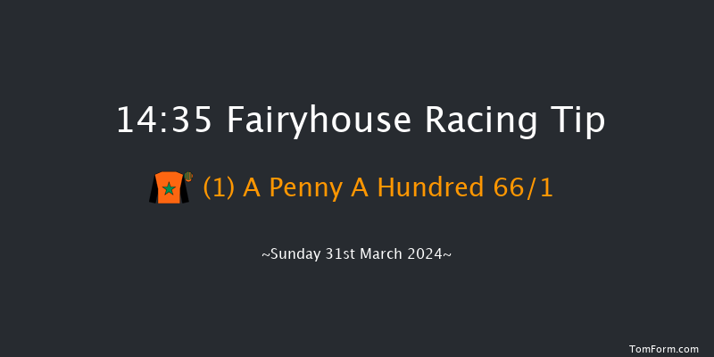 Fairyhouse  14:35 Novices Hurdle 20f Sat 30th Mar 2024