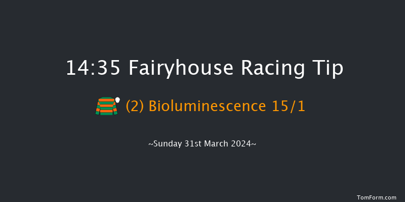 Fairyhouse  14:35 Novices Hurdle 20f Sat 30th Mar 2024