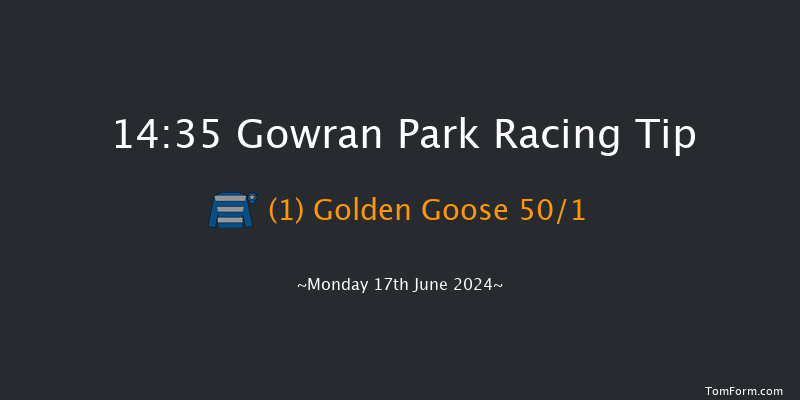 Gowran Park  14:35 Handicap 7f Sun 16th Jun 2024