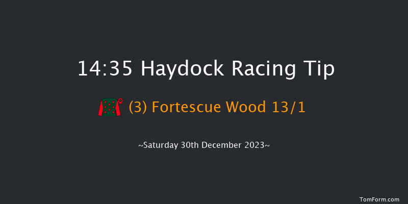 Haydock 14:35 Handicap Hurdle (Class 3) 19f Sat 23rd Dec 2023