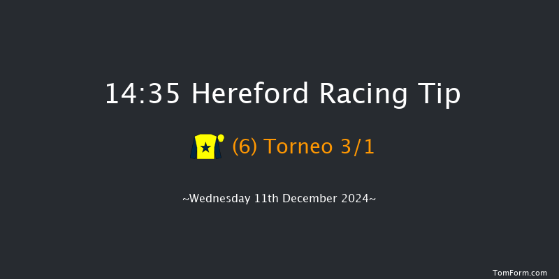 Hereford  14:35 Handicap Chase (Class 3) 16f Wed 27th Nov 2024