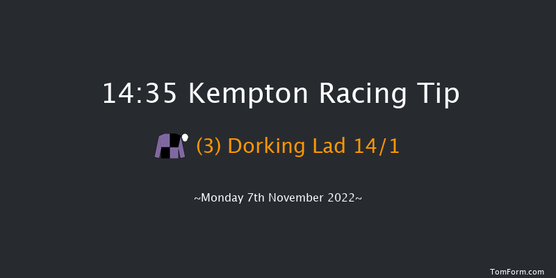 Kempton 14:35 Handicap Chase (Class 3) 18f Wed 2nd Nov 2022