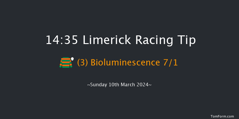 Limerick  14:35 Maiden Hurdle 22f Tue 30th Jan 2024