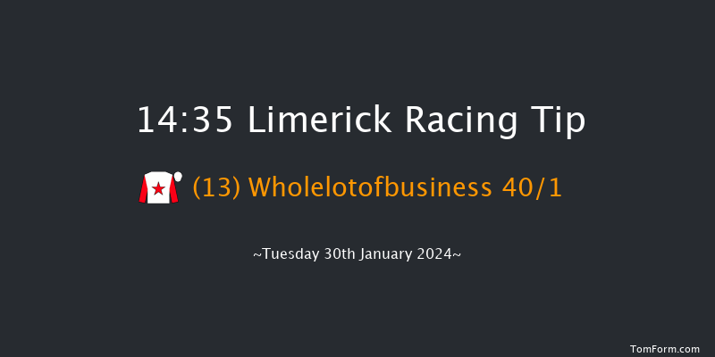 Limerick  14:35 Maiden Hurdle 16f Fri 29th Dec 2023