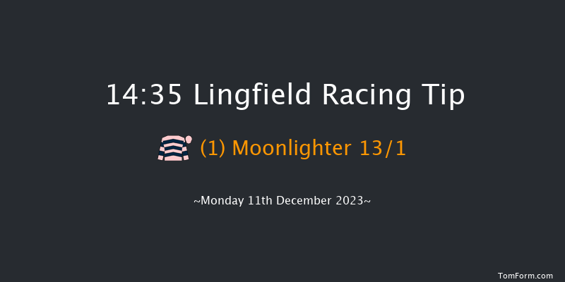 Lingfield 14:35 Handicap Chase (Class 4) 20f Wed 6th Dec 2023