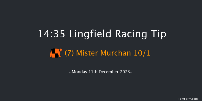 Lingfield 14:35 Handicap Chase (Class 4) 20f Wed 6th Dec 2023