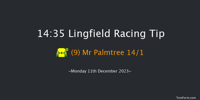 Lingfield 14:35 Handicap Chase (Class 4) 20f Wed 6th Dec 2023