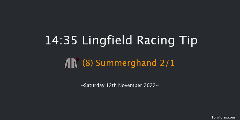 Lingfield 14:35 Listed (Class 1) 6f Tue 8th Nov 2022