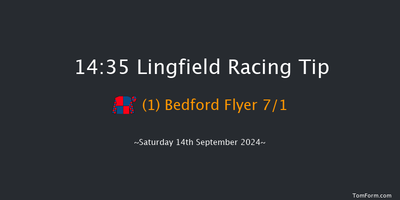 Lingfield  14:35 Handicap (Class 3) 5f Wed 11th Sep 2024