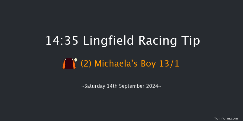 Lingfield  14:35 Handicap (Class 3) 5f Wed 11th Sep 2024