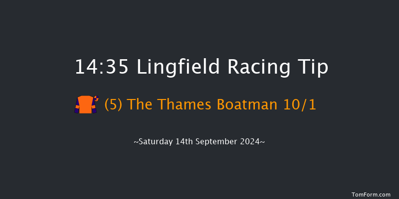 Lingfield  14:35 Handicap (Class 3) 5f Wed 11th Sep 2024