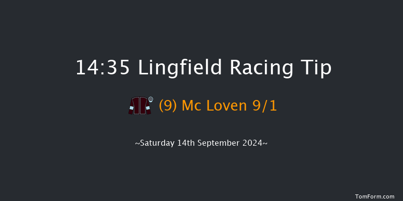 Lingfield  14:35 Handicap (Class 3) 5f Wed 11th Sep 2024