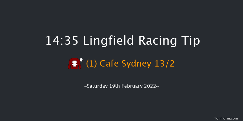 Lingfield 14:35 Handicap (Class 6) 10f Fri 18th Feb 2022