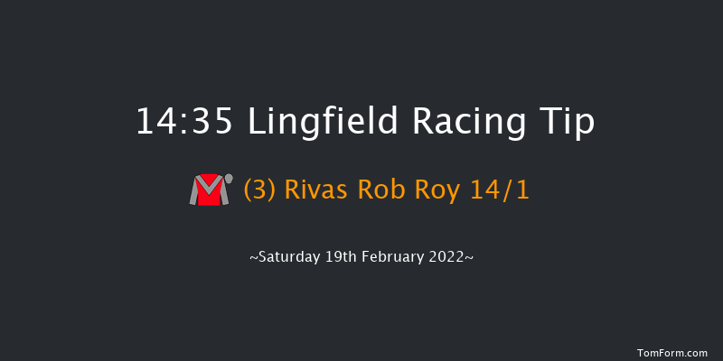 Lingfield 14:35 Handicap (Class 6) 10f Fri 18th Feb 2022