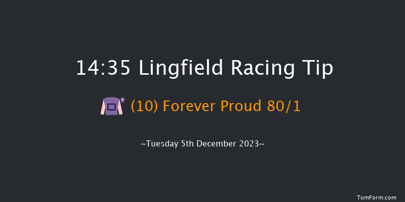 Lingfield 14:35 Handicap (Class 6) 10f Thu 30th Nov 2023