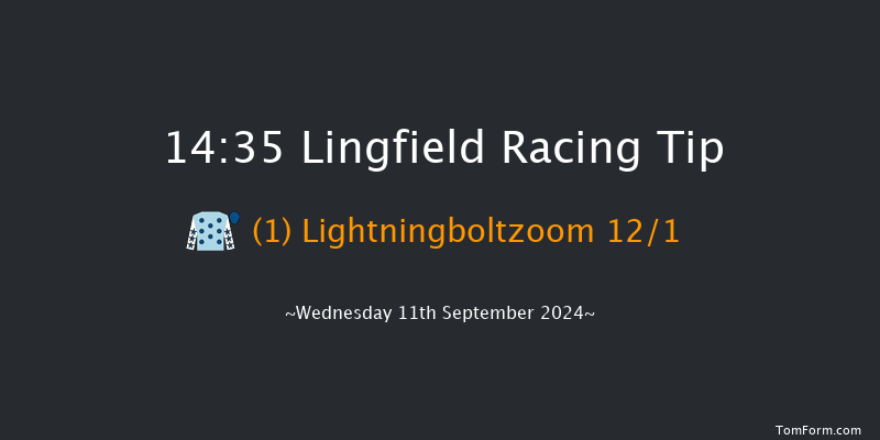 Lingfield  14:35 Stakes (Class 3) 8f Tue 10th Sep 2024