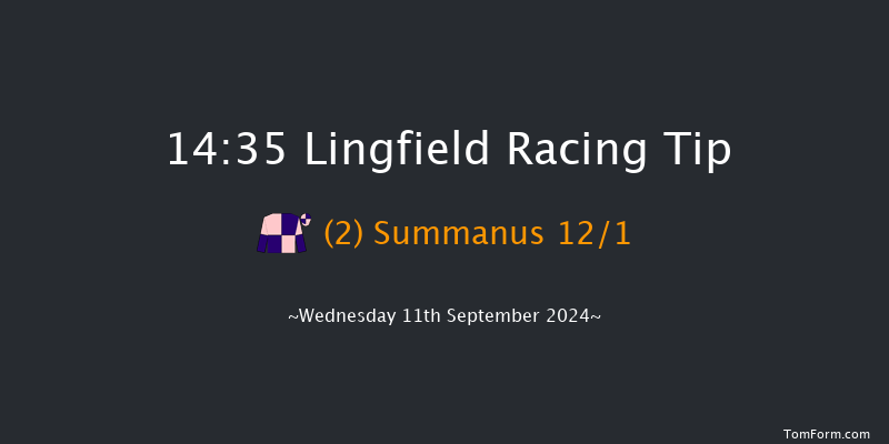 Lingfield  14:35 Stakes (Class 3) 8f Tue 10th Sep 2024