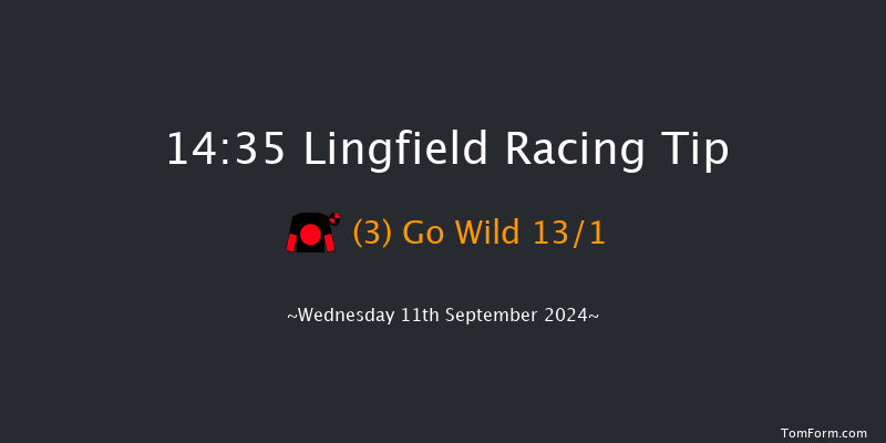 Lingfield  14:35 Stakes (Class 3) 8f Tue 10th Sep 2024