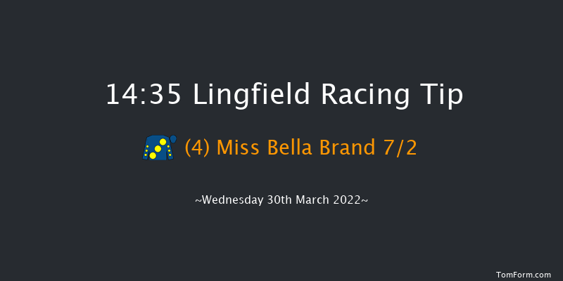 Lingfield 14:35 Handicap (Class 5) 7f Sat 12th Mar 2022