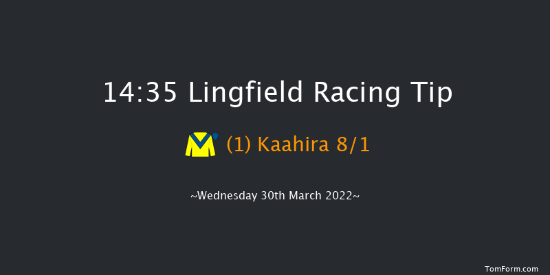 Lingfield 14:35 Handicap (Class 5) 7f Sat 12th Mar 2022