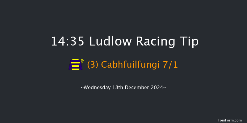 Ludlow  14:35 Handicap Chase (Class 4) 16f Wed 4th Dec 2024