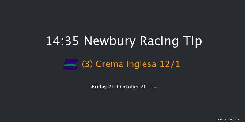 Newbury 14:35 Handicap (Class 4) 10f Sat 17th Sep 2022