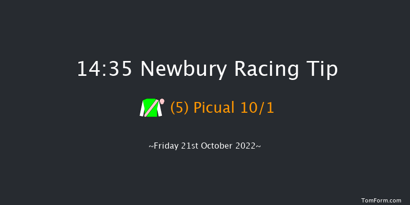 Newbury 14:35 Handicap (Class 4) 10f Sat 17th Sep 2022