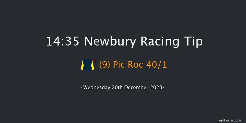 Newbury 14:35 Novices Hurdle (Class 3) 20f Sat 2nd Dec 2023