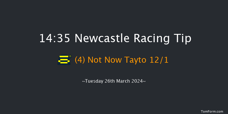 Newcastle  14:35 Handicap Hurdle (Class 5)
17f Mon 25th Mar 2024