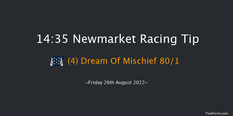 Newmarket 14:35 Stakes (Class 4) 7f Sat 13th Aug 2022