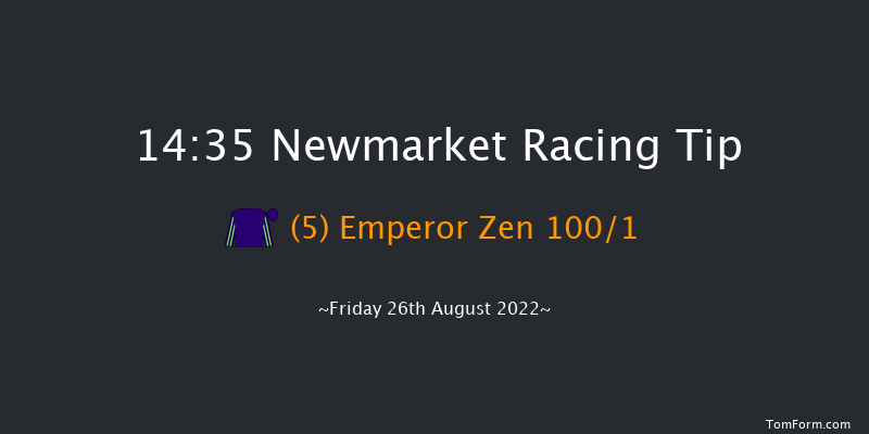 Newmarket 14:35 Stakes (Class 4) 7f Sat 13th Aug 2022