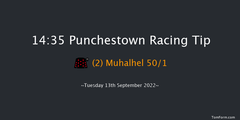 Punchestown 14:35 Handicap 8f Sun 29th May 2022