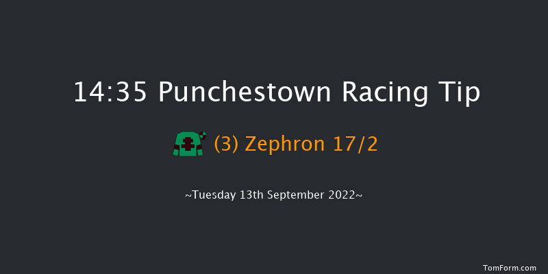 Punchestown 14:35 Handicap 8f Sun 29th May 2022