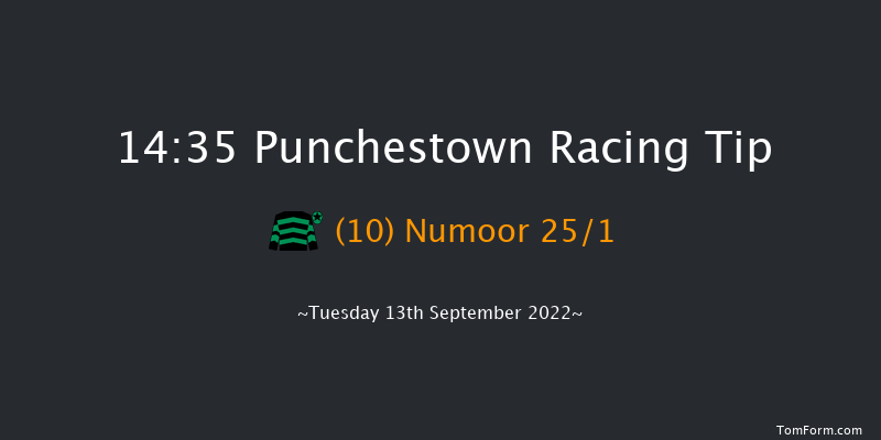 Punchestown 14:35 Handicap 8f Sun 29th May 2022