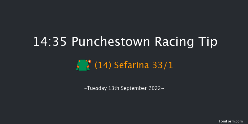 Punchestown 14:35 Handicap 8f Sun 29th May 2022