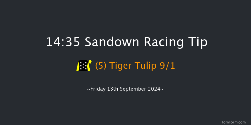 Sandown  14:35 Handicap (Class 5) 5f  Sat 31st Aug 2024