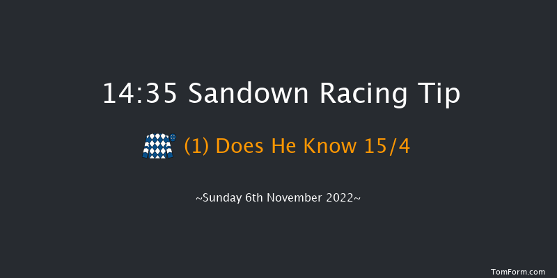 Sandown 14:35 Conditions Chase (Class 1) 24f Wed 14th Sep 2022