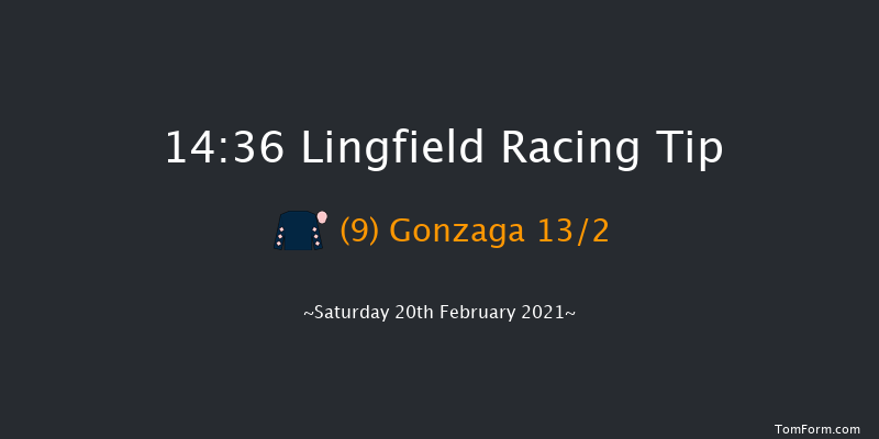 Bombardier 'March To Your Own Drum' Classified Stakes Lingfield 14:36 Stakes (Class 6) 7f Fri 19th Feb 2021